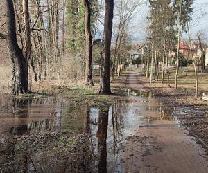 Rekordowo wysoki poziom wody w Jeziorze Łoniewskim 