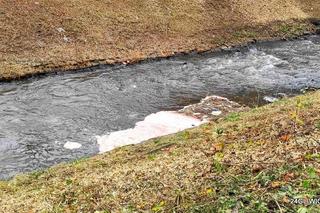 Różowa piana na rzece Kłodnicy w Gliwicach