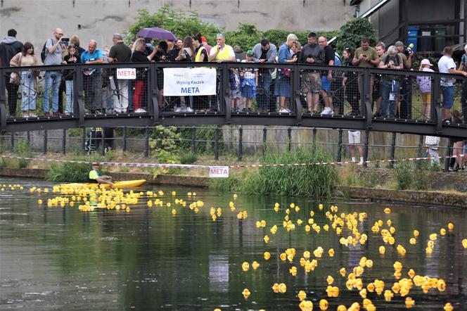 Ster na Bydgoszcz 2023. V Charytatywny Wyścig Kaczek Rotary [ZDJĘCIA]