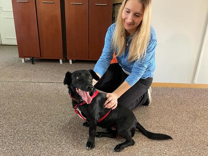 Julek ze schroniska na czas mrozów trafił do nowego domu. Zostanie w nim na stałe