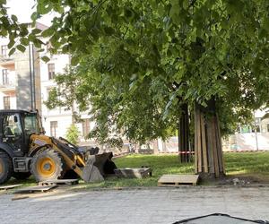 Społecznicy sprawdzili, co się dzieje ze starymi drzewami podczas rewitalizacji placu Wolności 