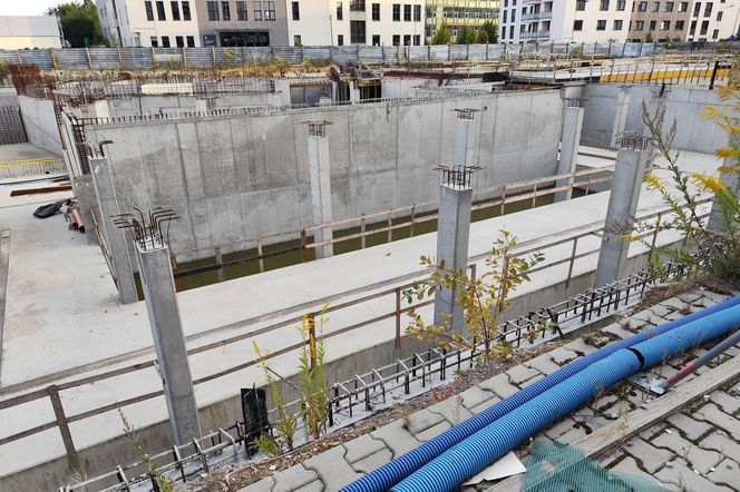 Michał S. Zatrzymany i aresztowany tymczasowo