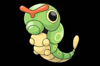 Caterpie