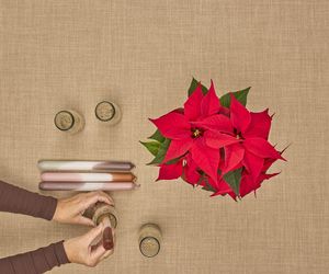 Adwentowa aranżacja z gwiazdą betlejemską