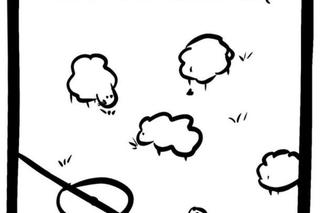 Memy Polska - Wyspy Owcze