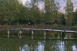 Na Wspólnej odc. 3560: Zuza Hoffer (Małgorzata Socha)