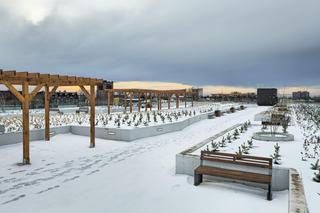 Nowe centrum przesiadkowe  w Zabrzu