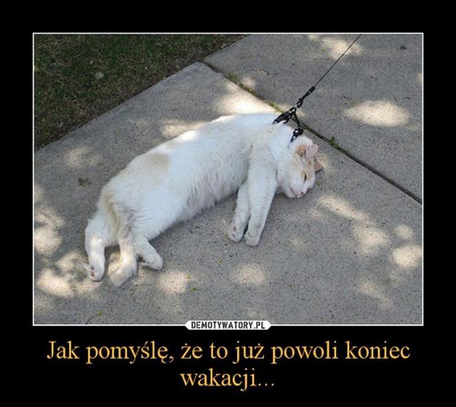Najlepszy z okazji zakończenia wakacji i początku roku szkolnego!
