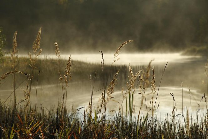 Jezioro