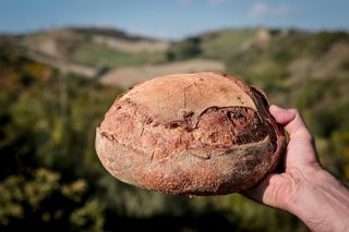 Bakery Tourism: szlakiem chleba przez Emilię-Romanię - dla tych, którzy nie boją się glutenu