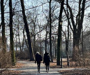 Zabytkowy Park Bronowicki w Lublinie czeka gruntowna rewitalizacja. Koszt? 8 milionów złotych