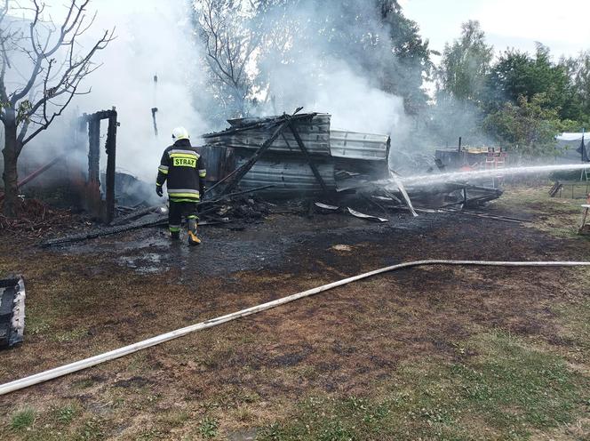 Mąż zgotował pani Dominice piekło. Trafi do więzienia na 3 lata