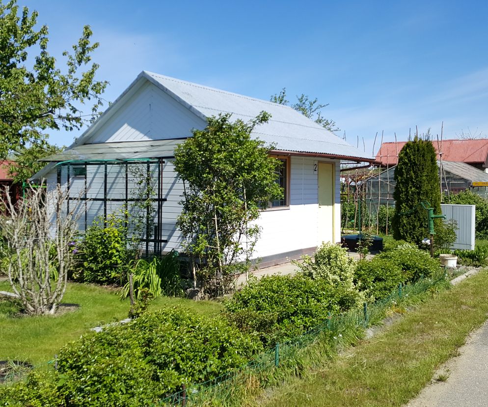 Domek letniskowy z jasnym dachem i elewacją, otoczony zielenią, krzewami oraz trawnikiem w Rodzinnych Ogrodach Działkowych w Nowym Sączu. Po prawej stronie widać polną drogę. O planowaniu transportu miejskiego dla ROD-ów przeczytasz na Architektura Murator Plus.