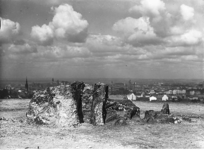 Panorama Krakowa 90 lat temu