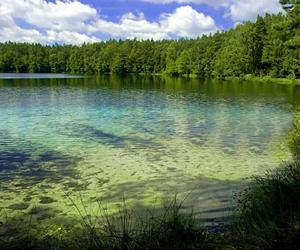   Jezioro Jasne. Zobacz najbardziej przejrzyste jezioro w Polsce