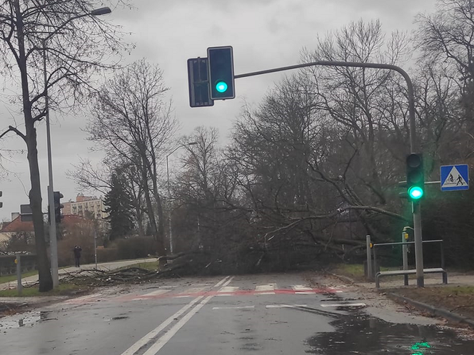 Gorzów: Poniedziałkowy poranek spokojny, działo się w weekend