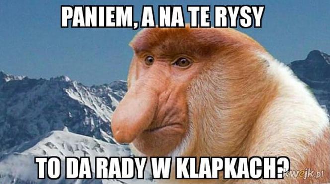 Najlepsze memy o górach i o góralach! Te grafiki bawią do łez 