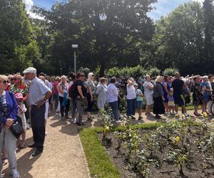 Kolejka tort urodziny Szczecina 