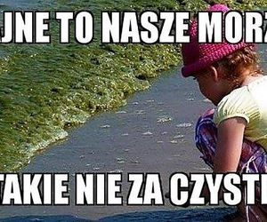 Najlepsze memy o wakacjach nad polskim morzem