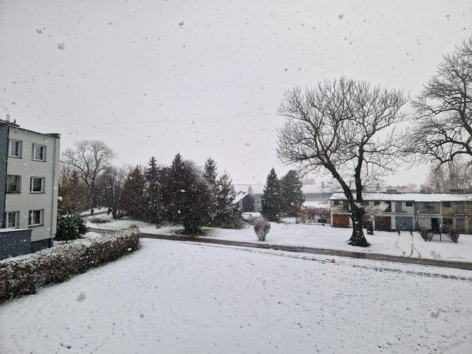 Pierwszy śnieg w tym roku. Pomorze pokryte białym puchem