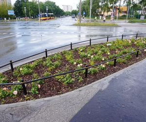 Kontrowersyjny skwerek na Ursynowie latem 2025
