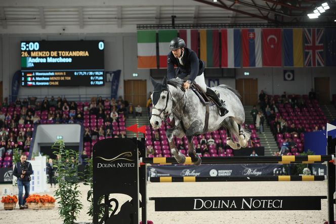 Cavaliada na Torwarze 2025. Reprezentantka Czech triumfuje w Warszawie