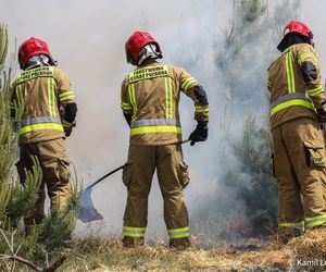 Ćwiczenia Fire Forest 2025 na poligonie w okolicach Międzyrzecza
