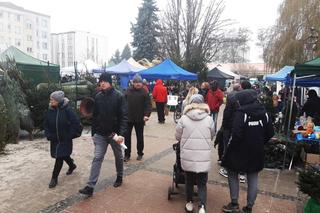 Jarmark Bożonarodzeniowy na Starym Mieście w Iławie [ZDJĘCIA]