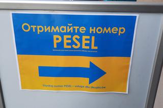 Od poniedziałku rzusza nowy punkt nadawania numerów PESEL dla obywateli Ukrainy
