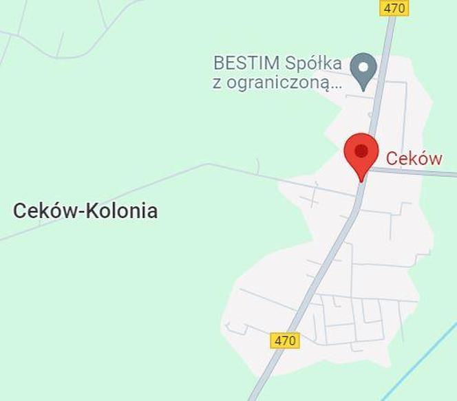 10. Ceków-Kolonia