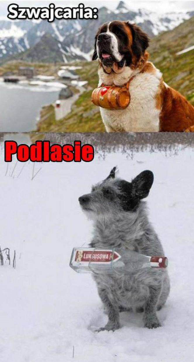 Najzabawniejsze memy o Podlasiu