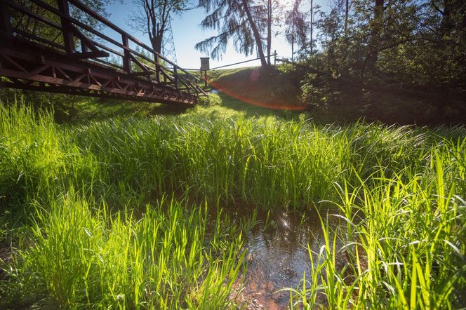 Najpiękniejsze miejsca w Beskidzie Sądeckim