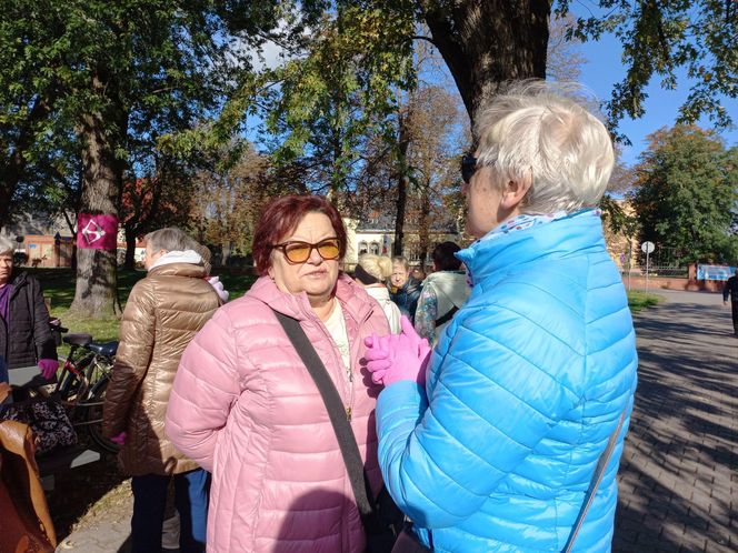 2 tysiące żonkili posadzono na Polu Nadziei w Lesznie. To symbol walki z rakiem