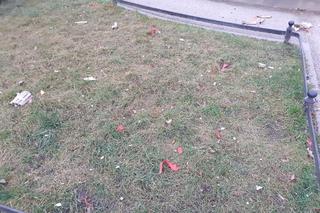 Zaśmiecony Wrocław po Sylwestrze. Na skwerach porozrzucane opakowania po fajerwerkach i petardach [ZDJĘCIA]
