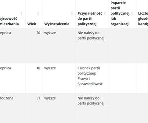 Wybory samorządowe 2024. Sprawdź, jak głosowano w gminach powiatu piotrkowskiego [GALERIA]