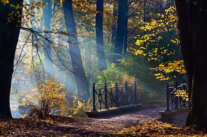 Pszczyna: Park Zamkowy