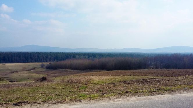 Klonów - urokliwa wieś w sercu Puszczy Świętokrzyskiej