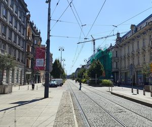 Katowice jak patelnia. Obowiązuje ruch cieniostronny. Nawet gołębie chowają się w cieniu