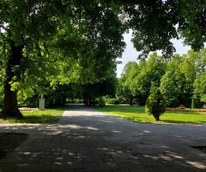 Park Miejski w Zamościu
