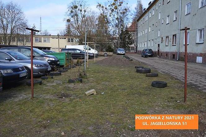 Podwórka z Natury 2021. Trzy miejsca w Olsztynie przejdą metamorfozę