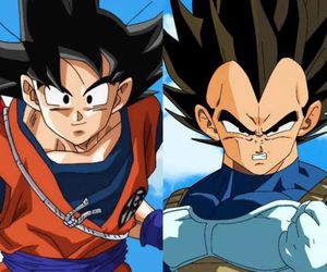 Son goku / Vegeta