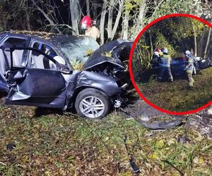 29-latka zginęła po roztrzaskaniu się o drzewo! Nocna makabra pod Bełchatowem [ZDJĘCIA]