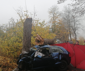 Tragiczny wypadek na drodze Mądrzechowo – Ząbinowice. 18-latka nie żyje [22.10.2022]
