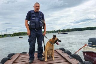 Szkolenie psów policyjnych nad Zalewem Zemborzyckim