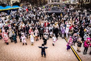 Nietypowy rekord pobity w Tarnobrzegu. Setki osób przebrało się za... króliki 