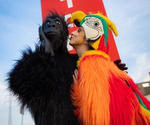 Nadchodzi Jungle Night w FACTORY Kraków. Rabaty sięgną nawet 50 procent!