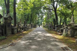 Grób rodziny Stuhrów