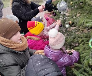 Na rynku w Mordach stanęła choinka