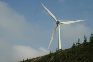 Przydomowe turbiny wiatrowe: jak działają, czy warto?