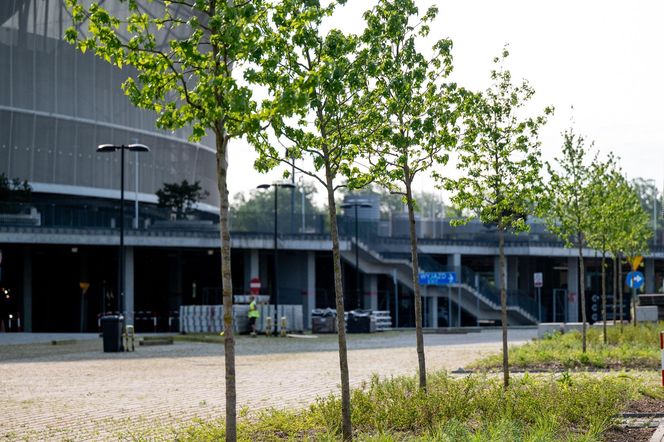 Tarczyński Arena